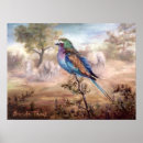 Suche nach afrikanischer vogel poster Wild lebende tiere