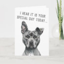 Suche nach hund für ihn karten Bulldogge