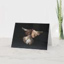 Suche nach im flug karten Taube