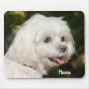 Suche nach maltesisch mousepads Haustier
