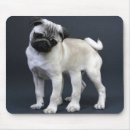 Suche nach sechs mousepads Hund