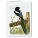Suche nach elster postkarten Tiere
