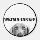 Suche nach weimaraner magnete Hund