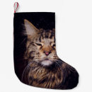 Suche nach animals weihnachts strümpfe Beautiful