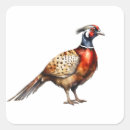 Suche nach fasan aufkleber Tierwelt