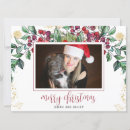 Suche nach hund im schnee karten Begrüßung