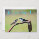 Suche nach schwalben einladungen Vögel