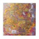 Suche nach versteinert fliesen Felsen