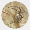 Suche nach spinner aufkleber Tierwelt