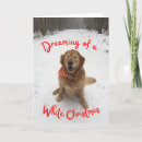 Suche nach hund im schnee karten Hunde