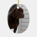 Suche nach schokolade labrador ornamente Welpe