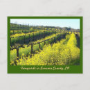 Suche nach sonoma postkarten Weinberg