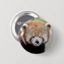 Suche nach riesen buttons Tiere