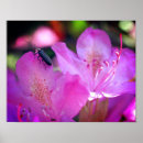 Suche nach besucher poster Blumenreich