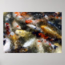 Suche nach koi karpfen poster Fisch