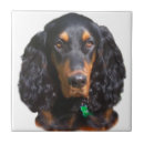 Suche nach gordon fliesen Jagd