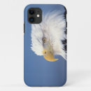 Suche nach weißkopfseeadler iphone hüllen Greifvogel