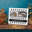 Suche nach schwarze katze fotoplatten Niedlich