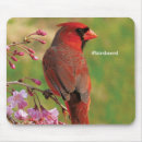 Suche nach kardinal vogel mousepads Vogelbeobachtung