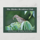 Suche nach thrash postkarten Vogelbeobachtung