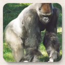 Suche nach gorilla untersetzer Zoo