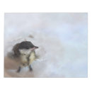 Suche nach vögel notizblock Wildtiere