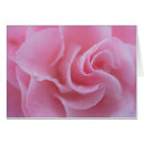 Suche nach rosa kamelie Kamelien