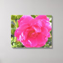 Suche nach rosa rose leinwandbilder Drucken