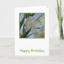 Suche nach oleander postkarten Botanisch