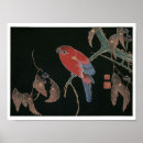 Suche nach roter papagei poster Vogelvogel