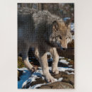 Suche nach wolf puzzle Natur