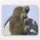 Suche nach zwergen mousepads Zusammengehörigkeit