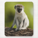 Suche nach mcdonalds mousepads Afrika
