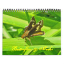 Suche nach mäuse kalender Tier