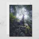 Suche nach baum wurzeln karten Landschaft