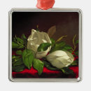 Suche nach magnolie ornamente Blumen