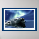 Suche nach polar bear poster Alaska
