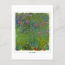 Suche nach agapanthus poster Landschaft