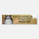 Suche nach knurren Katze