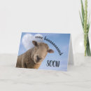 Suche nach sheep karten Nutztier