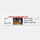Suche nach spay neutrum Haustier