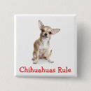 Suche nach regel buttons Hunde
