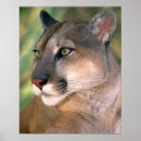 Suche nach felis poster Niemand