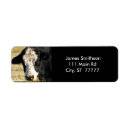 Suche nach stier rücksende aufkleber Vieh