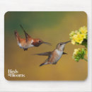 Suche nach kolibri mousepads Vögel und blüte