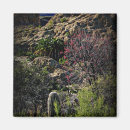 Suche nach thompson magnete Landschaft