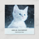 Suche nach inländisch visitenkarten Katze