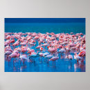 Suche nach afrikanische landschaft poster Wild