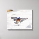 Suche nach schnee leinwandbilder Wild