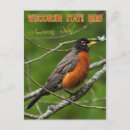 Suche nach amerikanisches rotkehlchen poster Staat
